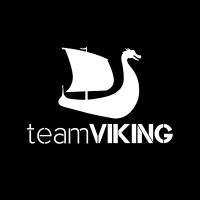 Team Viking logo - Similar company to Atlantic Flushing And Testing Inc.