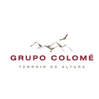 Grupo Colomé logo - Similar company to Prontowash