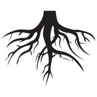 New Roots Consulting, LLC. logo - Similar company to Md Hyperbaric - Pittsburgh