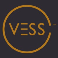 VESS Consulting Group logo - Similar company to Block By Block Creative