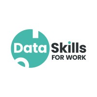Data Skills for Work logo - Similar company to Digitay