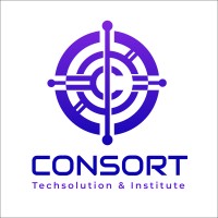 Consort Techsolution & Institute PVT LTD logo - Similar company to Web Ranker It Solutions Pvt. Ltd.