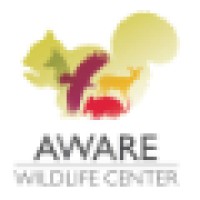 Atlanta Wild Animal Rescue Effort