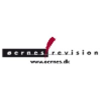 Øernes Revision Registreret Revisionsaktieselskab logo - Similar company to Blocs