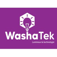 WashaTek logo - Similar company to Holiza Consulting Group