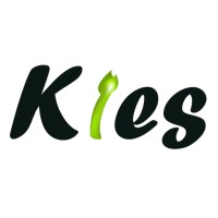 Kies ArGe ve Mühendislik logo - Similar company to Keyes Engineering & Automotive Inc.