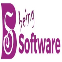 beingsoftware logo - Similar company to Devwerkz Web Design And Web Development