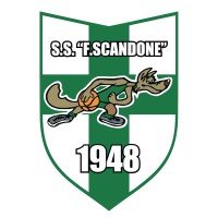 A.S.D. Felice Scandone Avellino logo - Similar company to Technology Advising