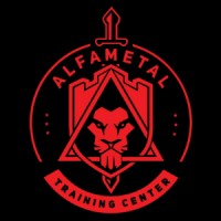 ICSTPS Alfa Metal Ltd logo - Similar company to Msi Hellas