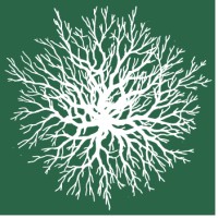 Schweizerischer Forstverein logo - Similar company to Schweizer Holz