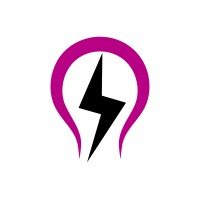 Ledholics logo - Similar company to Smart Decorations