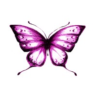 Austin Counseling Connection, PLLC logo - Similar company to Austin Counseling And Trauma Specialists, Pllc