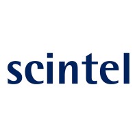 Scintel Technologies, Inc. logo - Similar company to 3I People