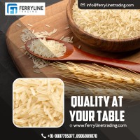 FERRYLINE TRADING PVT LTD logo - Similar company to Merchex Global