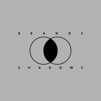Brands Shadows logo - Similar company to Aya Jong & Kanker Foundation