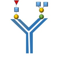 GLYKOGEN LIMITED logo - Similar company to Epitogenx
