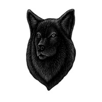 Old Wolf logo - Similar company to Ron Carter Auto Group