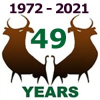 Niho Land and Cattle Company logo - Similar company to A-Null Development Gmbh