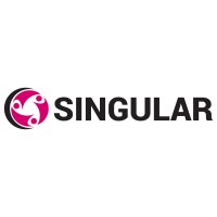 Singular Consulting Services logo - Similar company to Surgestreams