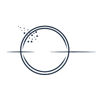 Pleiad logo - Similar company to Pleiad Group