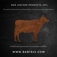 BAB GROUP logo - Similar company to Cumulus Wealth
