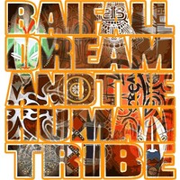 BAIFALL DREAM logo - Similar company to Chapiock