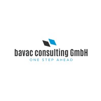 bavac consulting GmbH logo - Similar company to One Global Expert