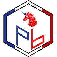 Plan B logo - Similar company to Aronky Technologies