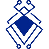 Capture The Bug logo - Similar company to First Watch - Cyber Security