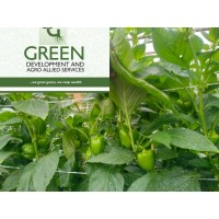 Green Development and Agro-Allied Services Limited logo - Similar company to Thrive Agritech