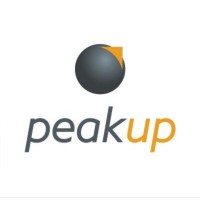 Peak Up logo - Similar company to Wooten Group