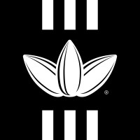 Roll2Rule Studio logo - Similar company to Android Manifest
