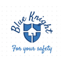 Blue Knight Ltd logo - Similar company to Stanza Logistics
