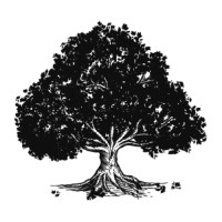 ParkWest Solutions logo - Similar company to Pacific Health Group