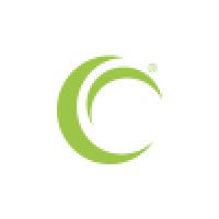 Chasse Consulting: Sales Strategies, Inc. logo - Similar company to Atd Austin