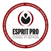 Esprit Pro - Réseau Rivalis logo - Similar company to Navis Conseil
