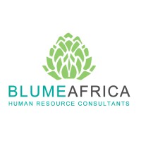 BlumeAfrica Ltd logo - Similar company to Kazi Solution