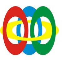Picasso Consultant Pvt. Ltd. logo - Similar company to Fusion Engineering Services