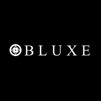 Bluxe Global logo - Similar company to Valuex Partners