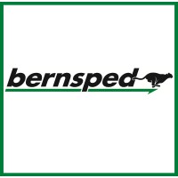 Bernsped Logistik GmbH logo - Similar company to 3Log Premium Logistics Gmbh