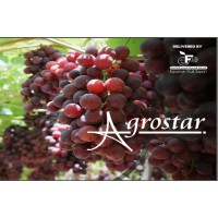 Agrostar - Egyptian Fruit Export logo - Similar company to A  Armani