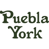 Puebla York logo - Similar company to Byte Care Limited