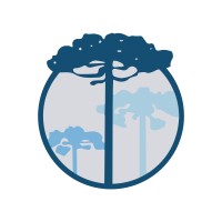 Murayama E Maciel Consultores Associados