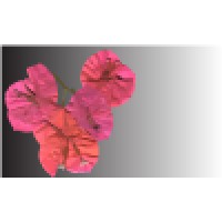 Elemental Art & Technology Llc