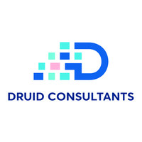 Druid Consultants Pvt Ltd logo - Similar company to Eb Solutions