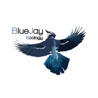 BlueJay Ecology logo - Similar company to Daniel Ahern Ecology Ltd