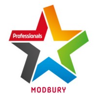 Professionals Modbury logo - Similar company to Realize Properties