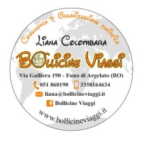 Bollicine Viaggi logo - Similar company to Michel Tours Srls