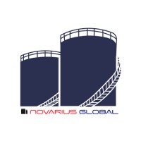 Novarius Global (India) Pvt. Ltd. logo - Similar company to Lgs Projects Pvt Ltd