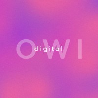 Owi Digital logo - Similar company to Design Boyz